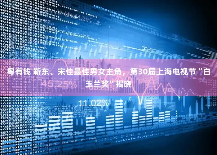 粤有钱 靳东、宋佳最佳男女主角，第30届上海电视节“白玉兰奖”揭晓