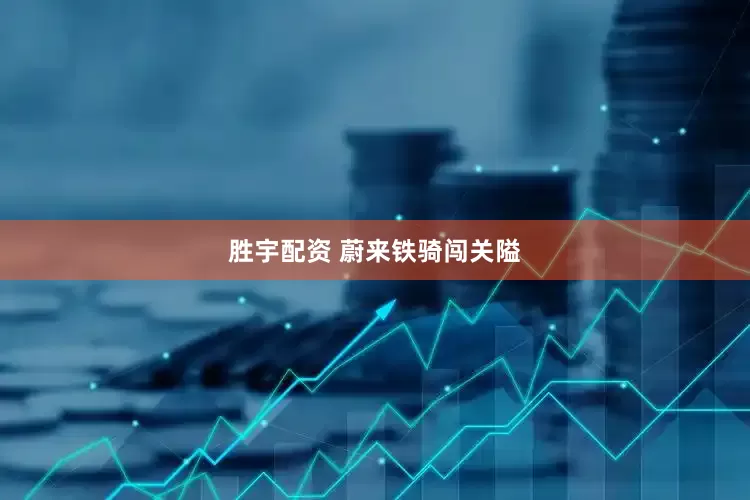 胜宇配资 蔚来铁骑闯关隘