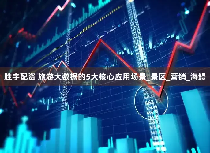胜宇配资 旅游大数据的5大核心应用场景_景区_营销_海鳗